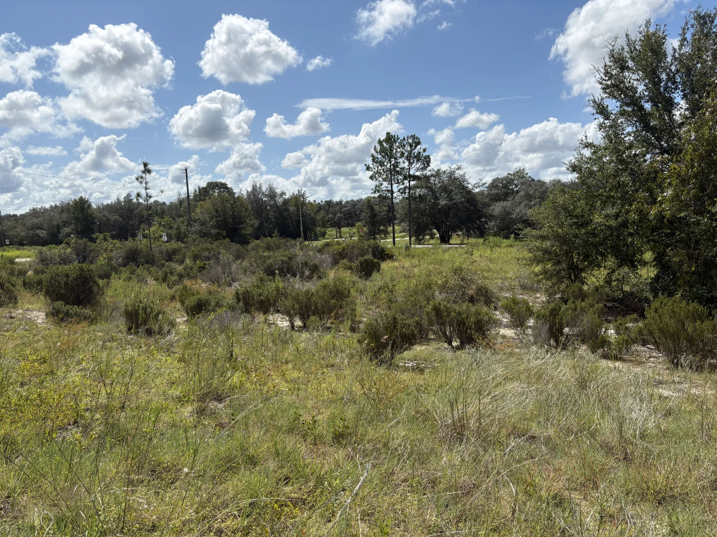 Prime Levy County, FL Outdoor Sportsman Lot for Sale Near World-Class Springs & Gulf Coast in Levy County, FL