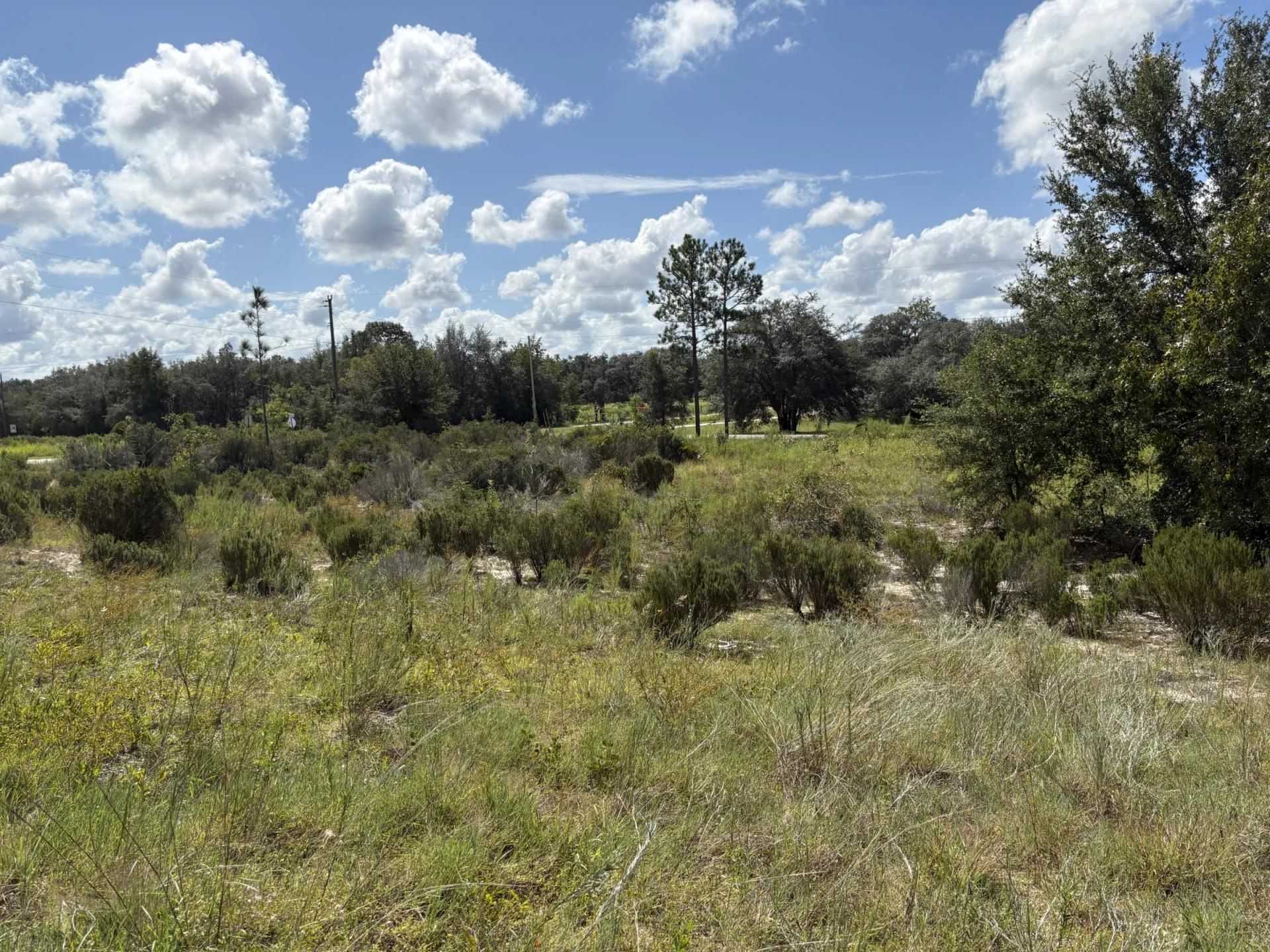 Prime Levy County, FL Outdoor Sportsman Lot for Sale Near World-Class Springs & Gulf Coast - Image 4