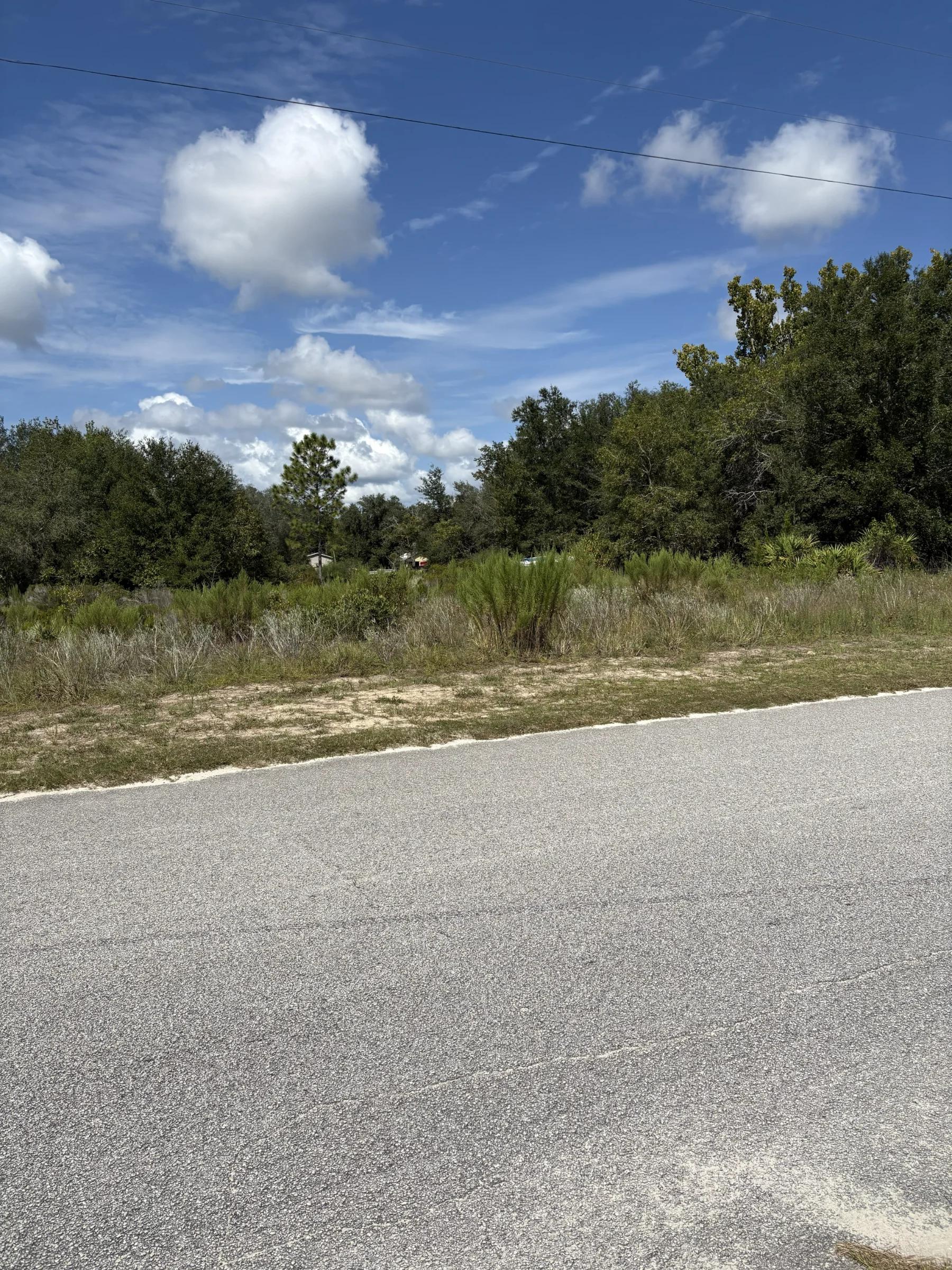Decorative background for Prime Levy County, FL Outdoor Sportsman Lot for Sale Near World-Class Springs & Gulf Coast image 12