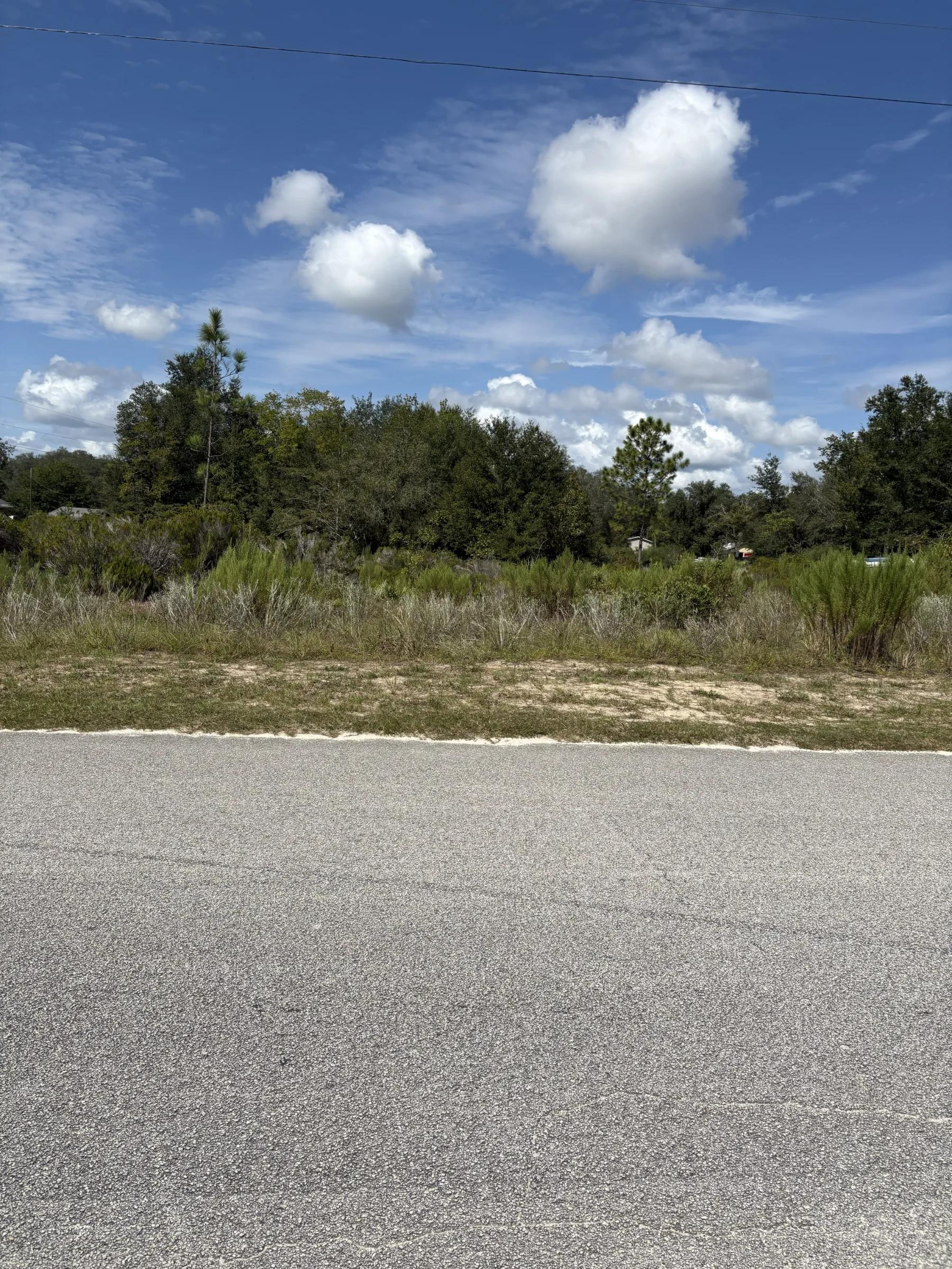Decorative background for Prime Levy County, FL Outdoor Sportsman Lot for Sale Near World-Class Springs & Gulf Coast image 13