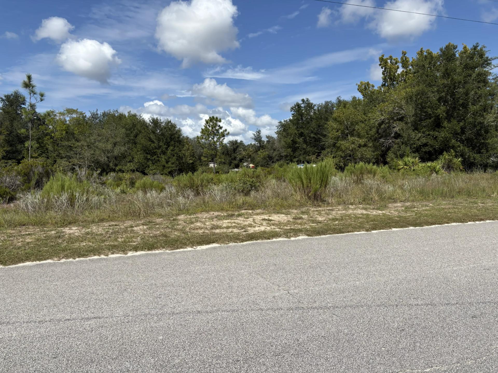 Decorative background for Prime Levy County, FL Outdoor Sportsman Lot for Sale Near World-Class Springs & Gulf Coast image 14
