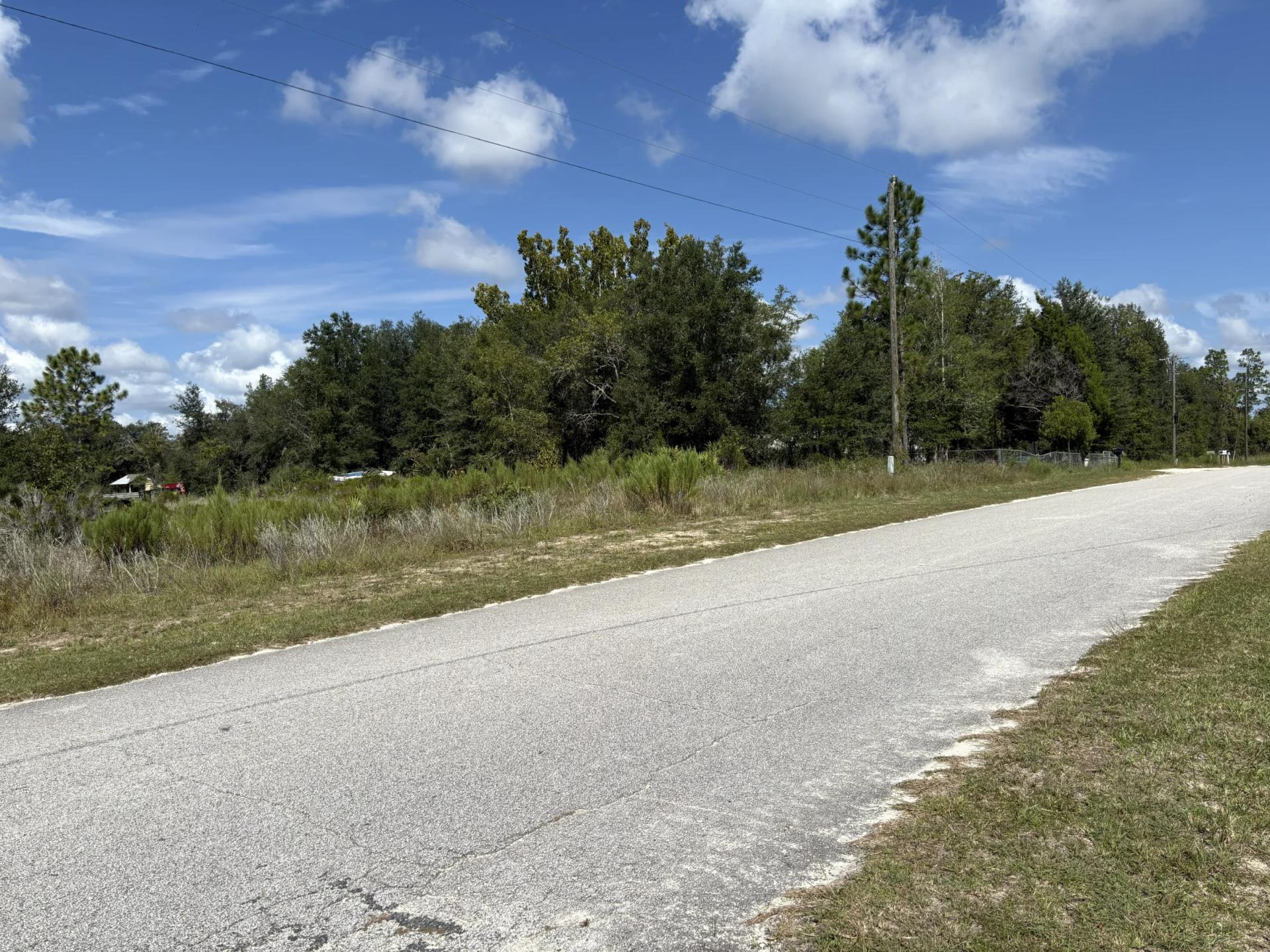 Decorative background for Prime Levy County, FL Outdoor Sportsman Lot for Sale Near World-Class Springs & Gulf Coast image 15