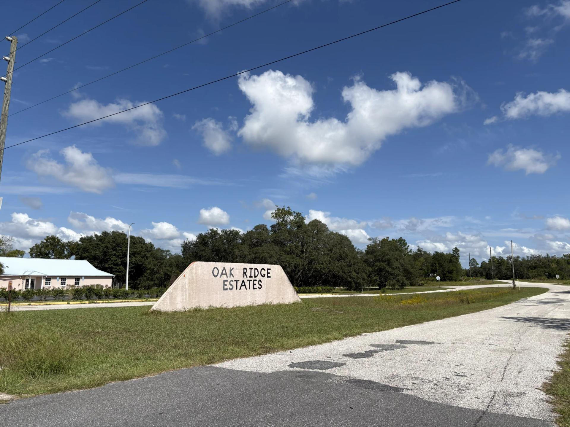 Decorative background for Prime Levy County, FL Outdoor Sportsman Lot for Sale Near World-Class Springs & Gulf Coast image 16