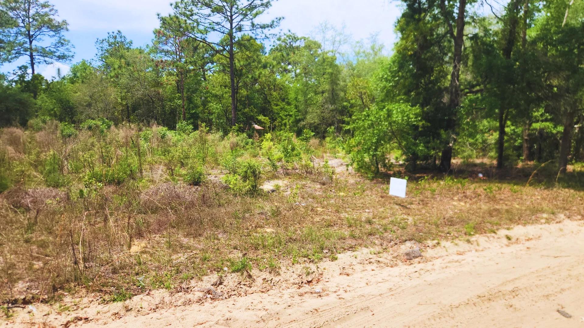 Welcome to Sunny Interlachen - Main image