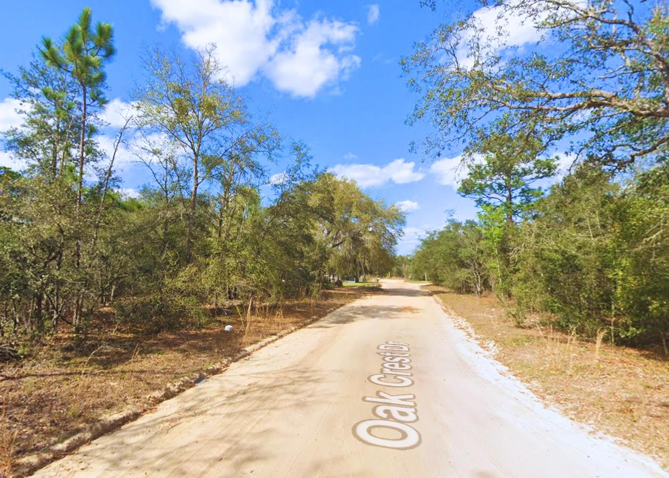 Welcome to Sunny Interlachen - Image 4