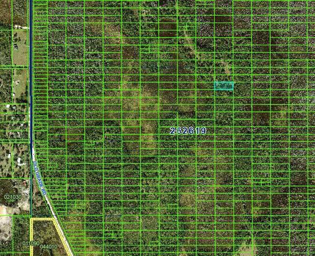 1 Acre Near Orlando & Tampa — A Low-Cost Land Investment for the Future - Image 2