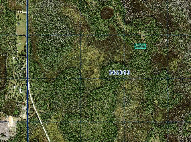 1 Acre Near Orlando & Tampa — A Low-Cost Land Investment for the Future - Image 3
