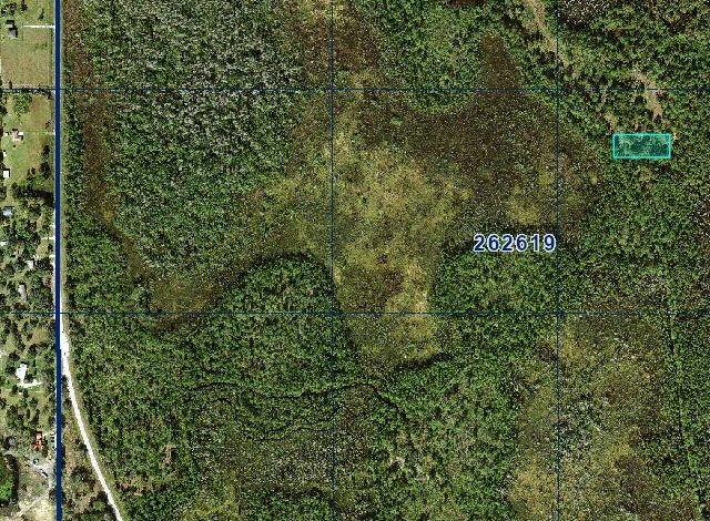 1 Acre Near Orlando & Tampa — A Low-Cost Land Investment for the Future in Polk County, FL