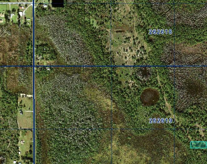1 Acre Near Orlando & Tampa — A Low-Cost Land Investment for the Future - Image 4