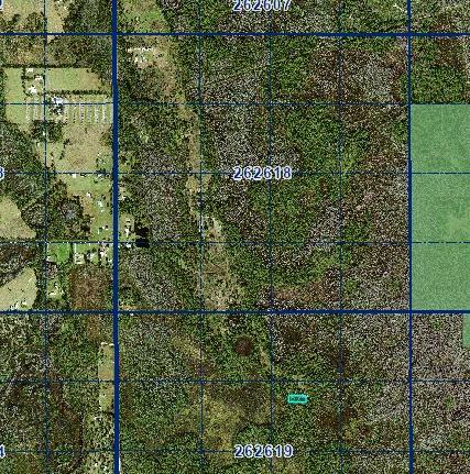 Decorative background for 1 Acre Near Orlando & Tampa — A Low-Cost Land Investment for the Future image 5