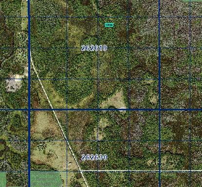 Decorative background for 1 Acre Near Orlando & Tampa — A Low-Cost Land Investment for the Future image 6