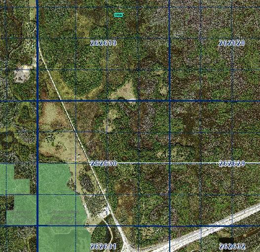 Decorative background for 1 Acre Near Orlando & Tampa — A Low-Cost Land Investment for the Future image 7