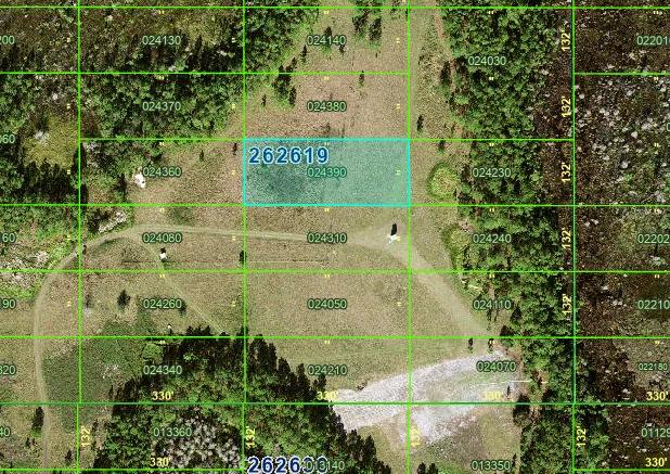 Decorative background for 1 Acre for the Patient Investor — Own It Now, Watch What Happens Later image 7