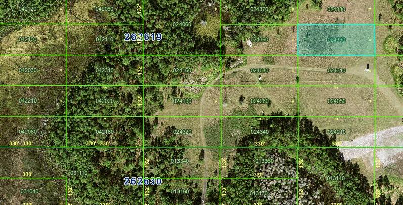 Decorative background for 1 Acre for the Patient Investor — Own It Now, Watch What Happens Later image 6