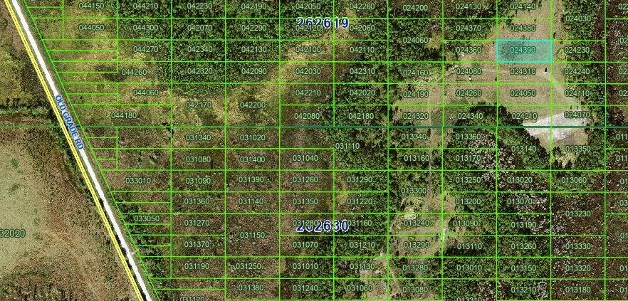 Decorative background for 1 Acre for the Patient Investor — Own It Now, Watch What Happens Later image 8