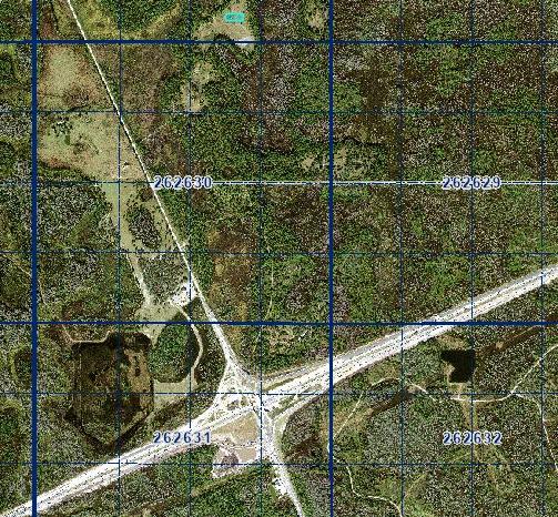 1 Acre for the Patient Investor — Own It Now, Watch What Happens Later - Image 4