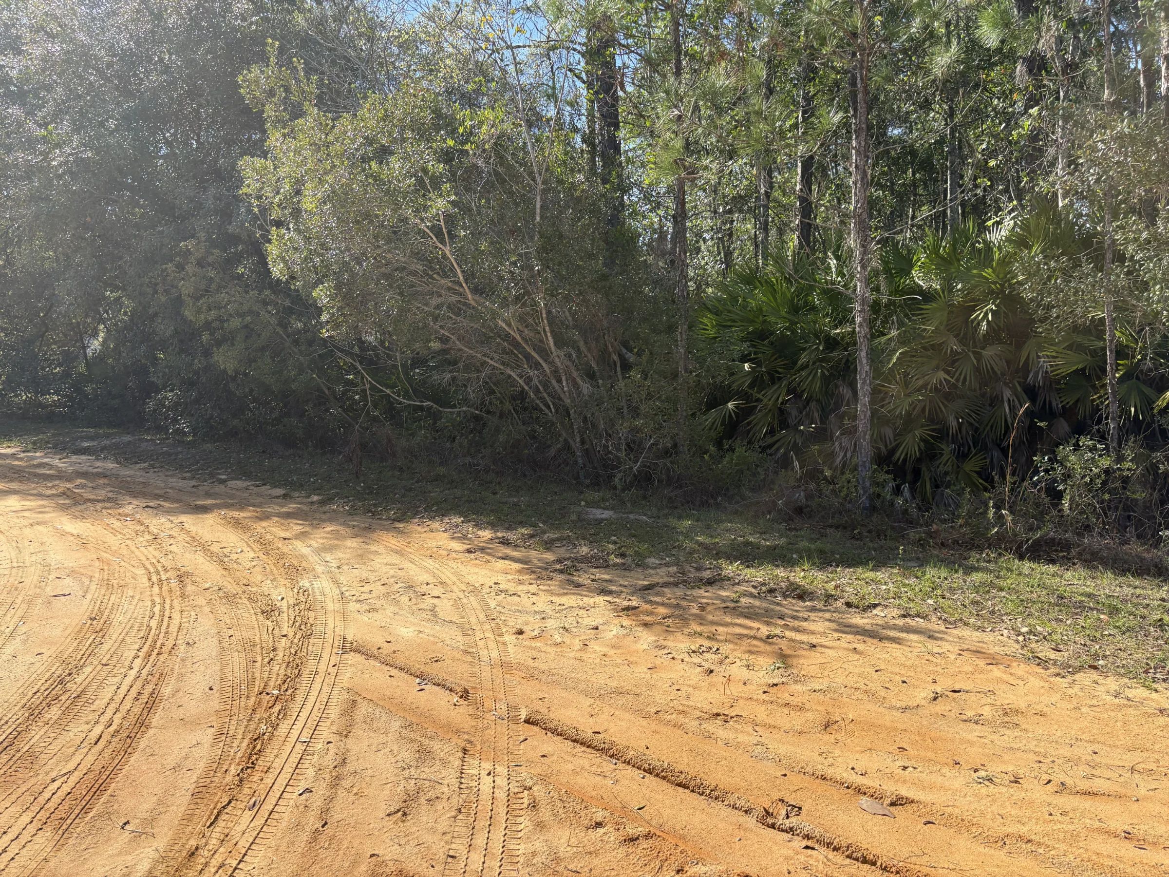 Own Florida Dirt for Cheaper than Car in Putnam County, FL