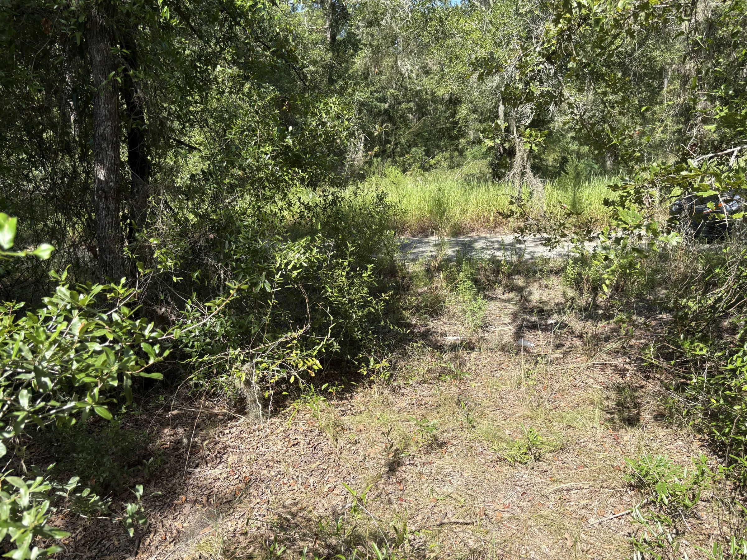 Build Toward a Simpler FL Life Affordably with Vacant Land in Levy County, FL
