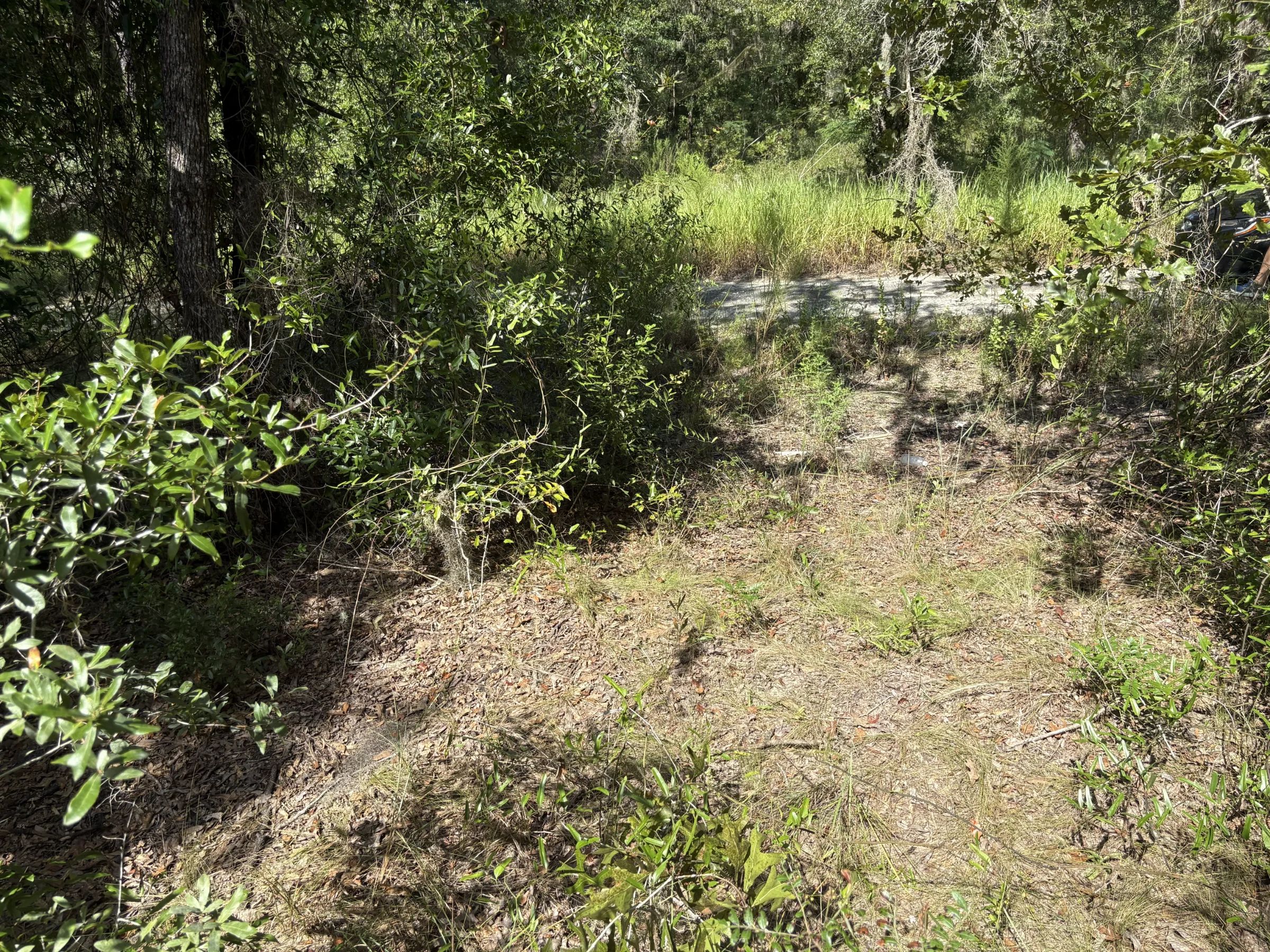 Build Toward a Simpler FL Life Affordably with Vacant Land in Levy County, FL