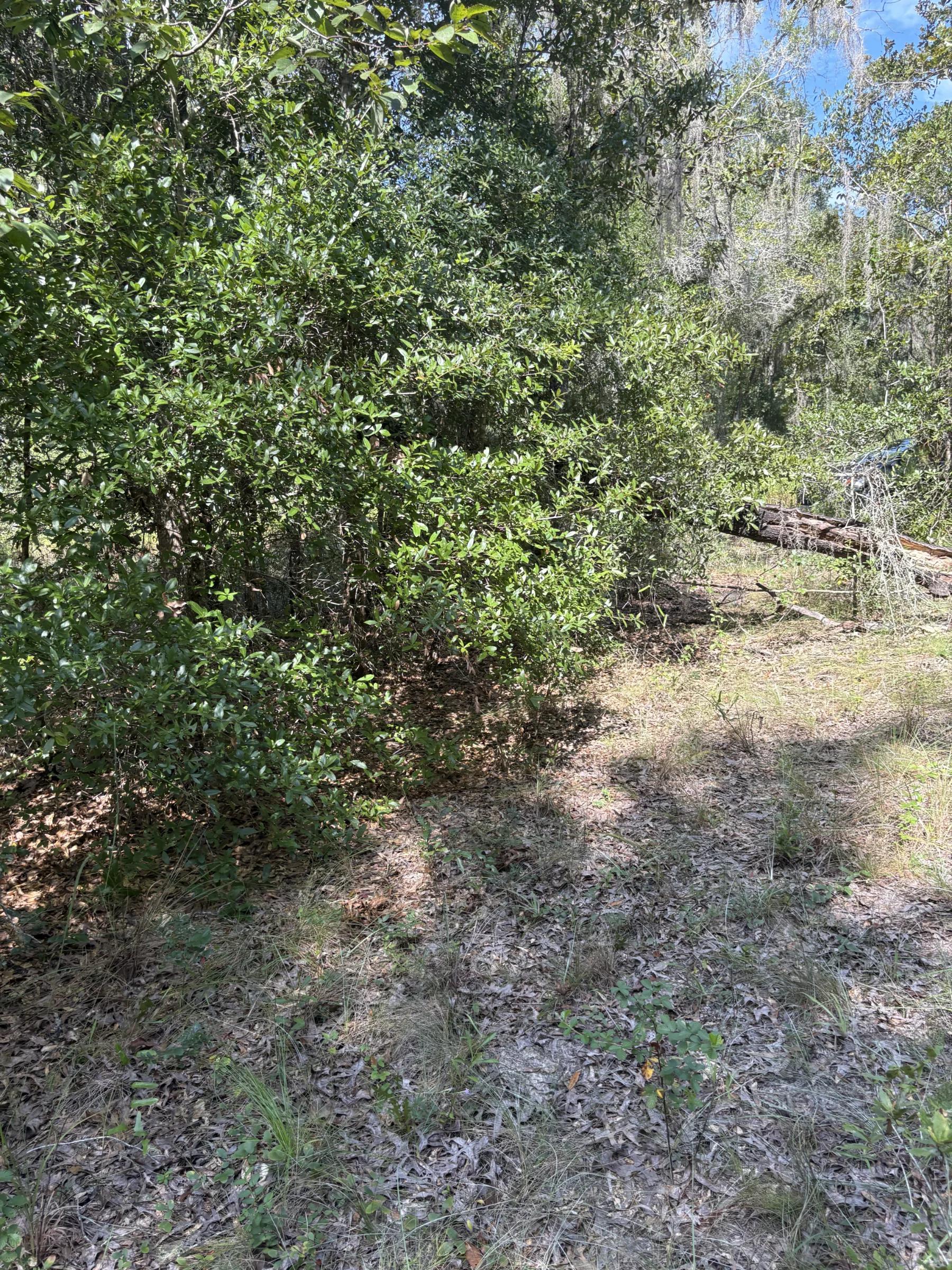 Decorative background for Build Toward a Simpler FL Life Affordably with Vacant Land image 6