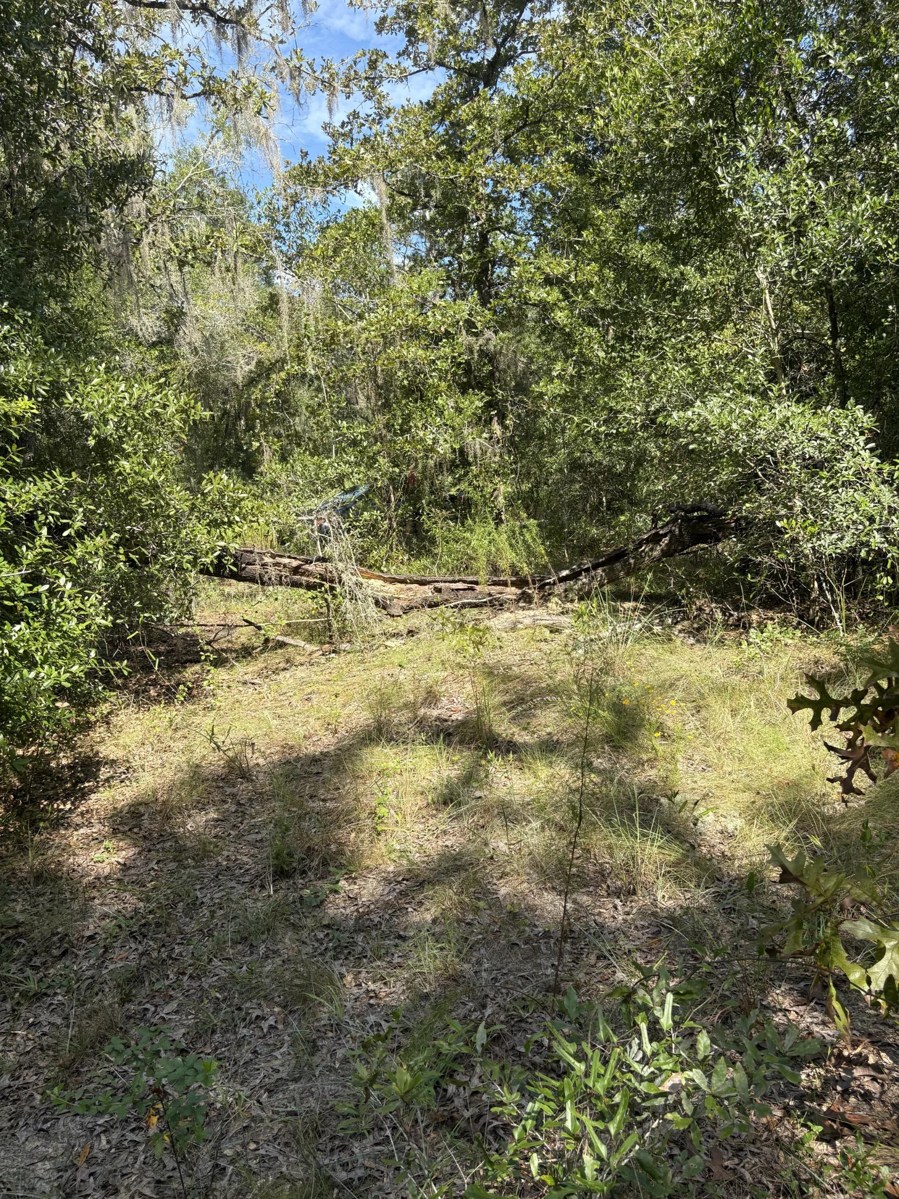 Decorative background for Build Toward a Simpler FL Life Affordably with Vacant Land image 7