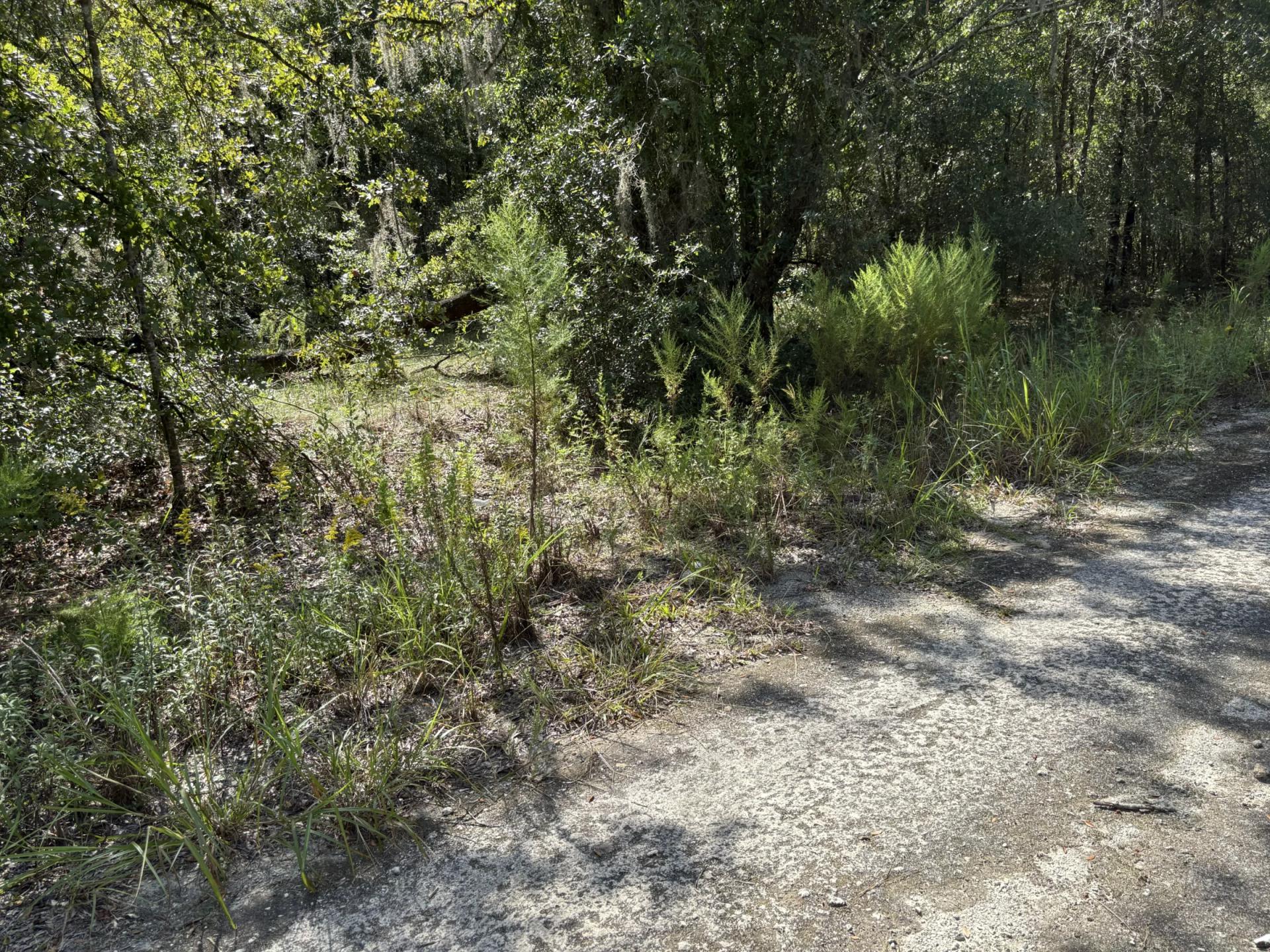 Decorative background for Build Toward a Simpler FL Life Affordably with Vacant Land image 8