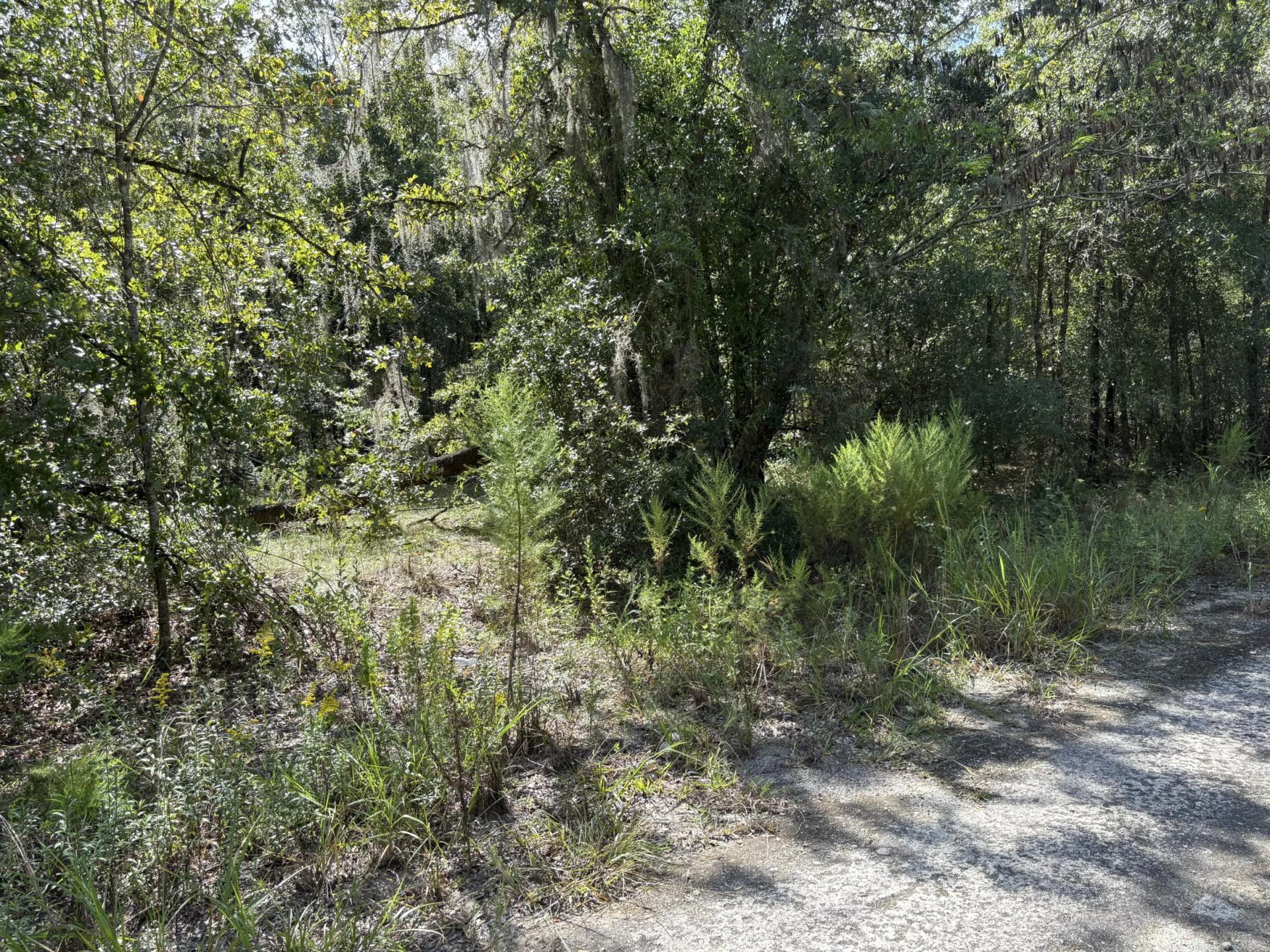 Decorative background for Build Toward a Simpler FL Life Affordably with Vacant Land image 9