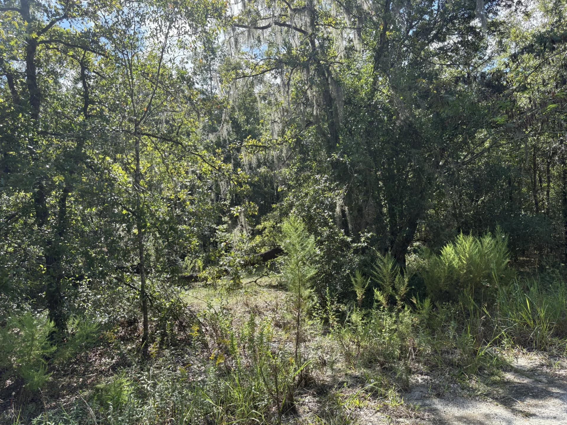 Decorative background for Build Toward a Simpler FL Life Affordably with Vacant Land image 10