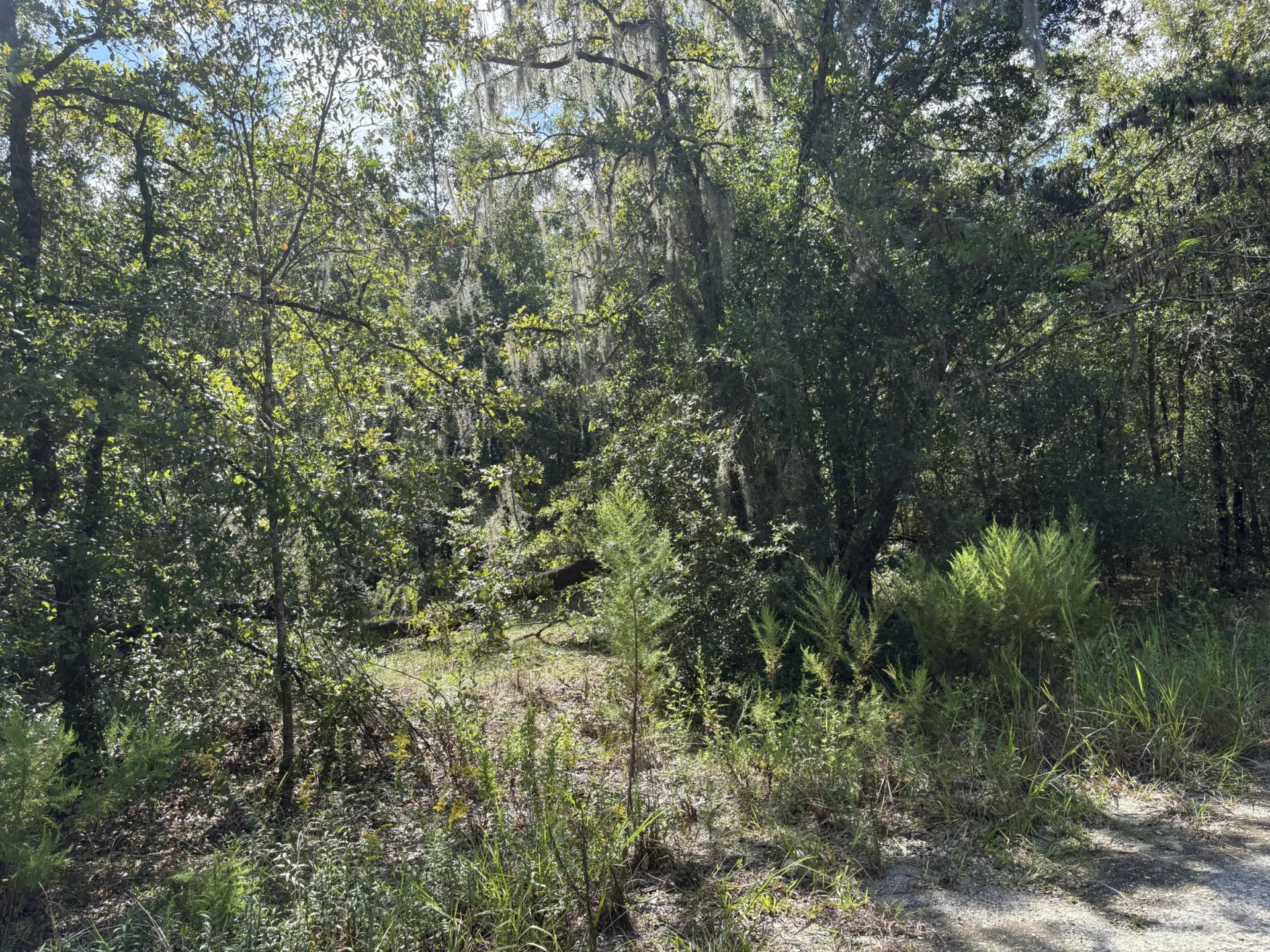 Decorative background for Build Toward a Simpler FL Life Affordably with Vacant Land image 11