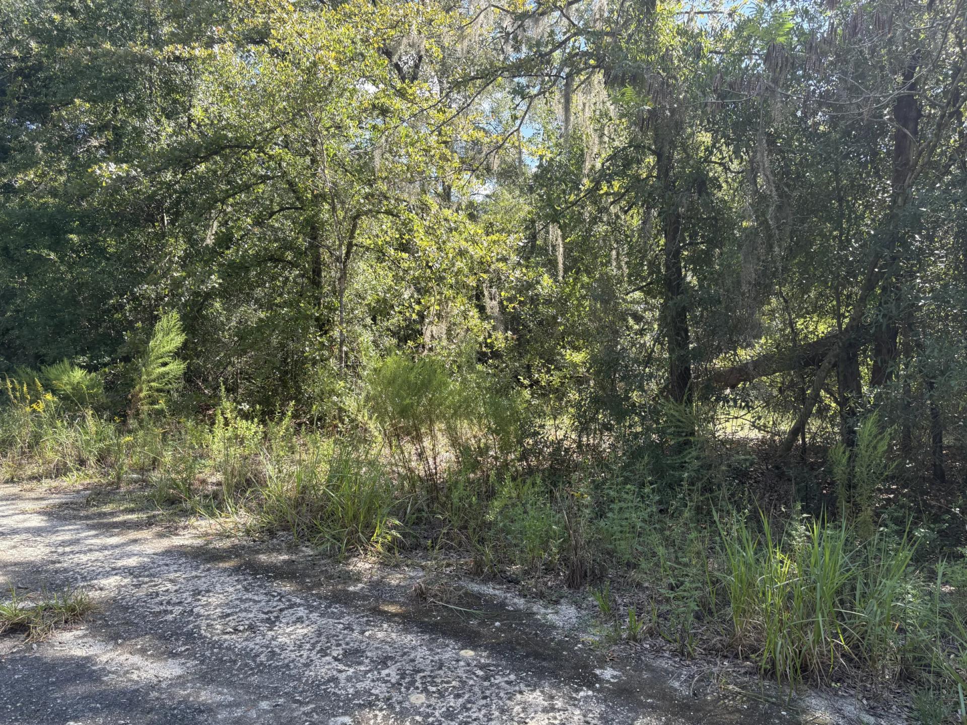 Decorative background for Build Toward a Simpler FL Life Affordably with Vacant Land image 15