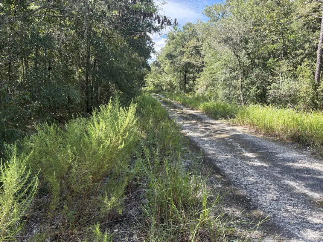 Build Toward a Simpler FL Life Affordably with Vacant Land in Levy County, FL
