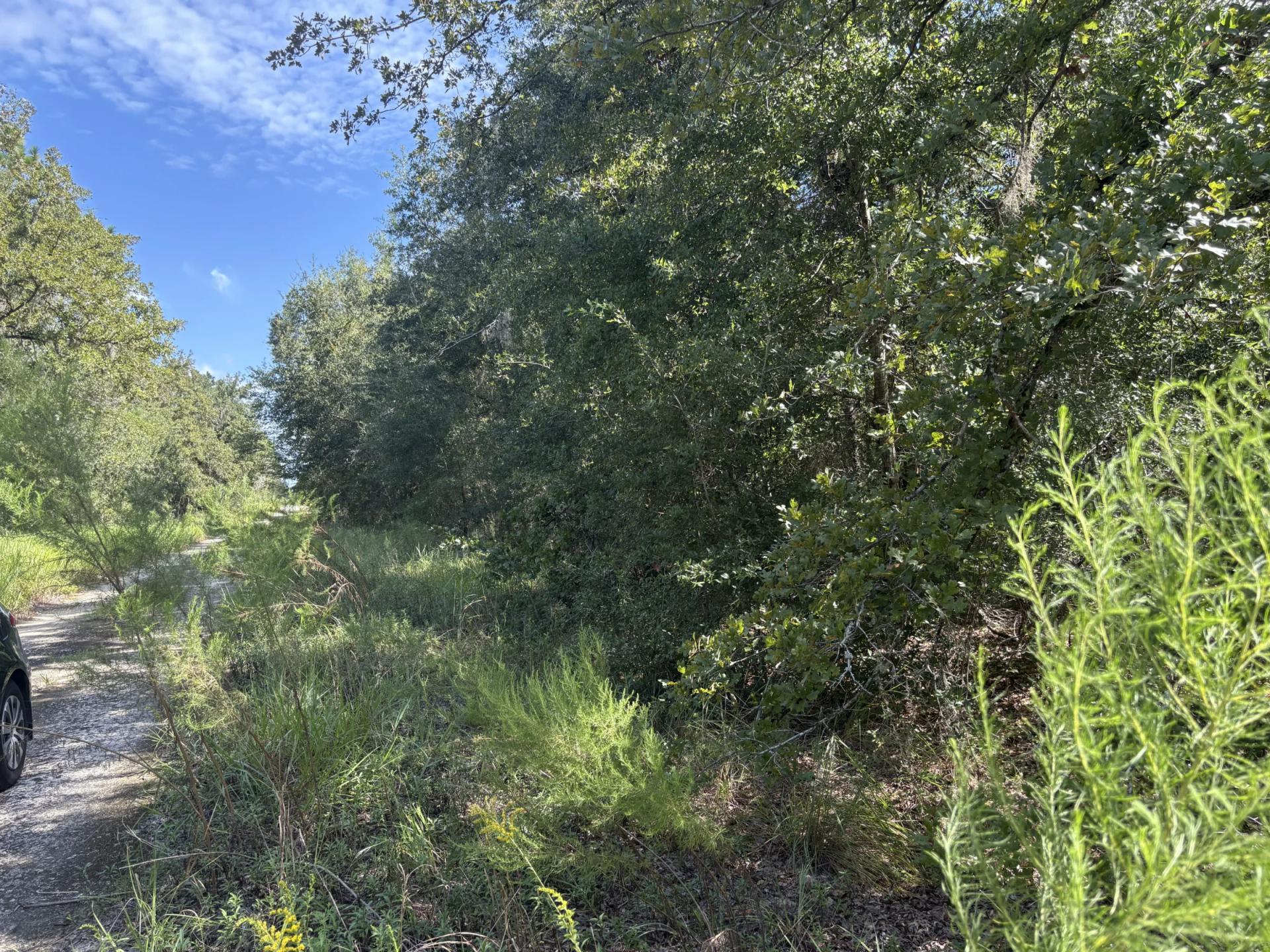 Decorative background for Build Toward a Simpler FL Life Affordably with Vacant Land image 16