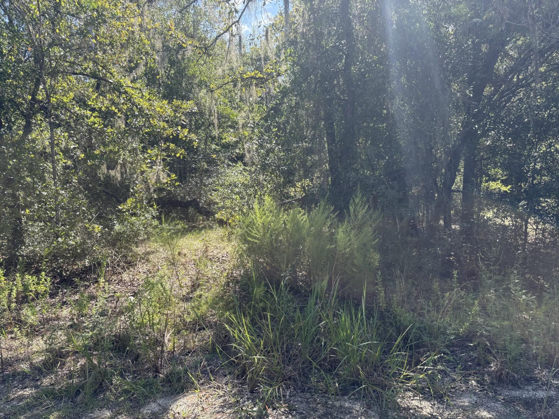Decorative background for Build Toward a Simpler FL Life Affordably with Vacant Land image 18