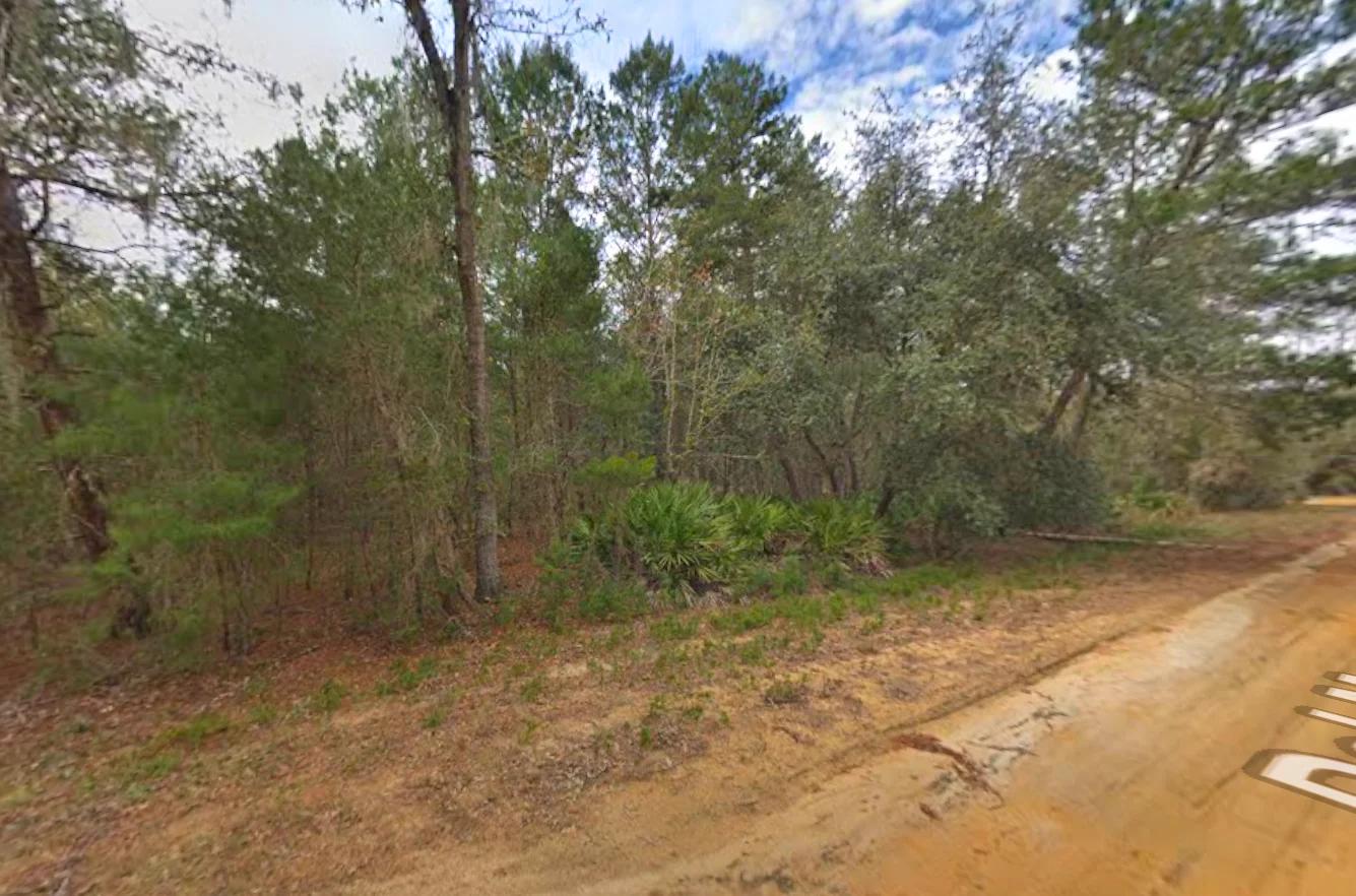 0.43 Acre Land for Sale for Homestead - Main image