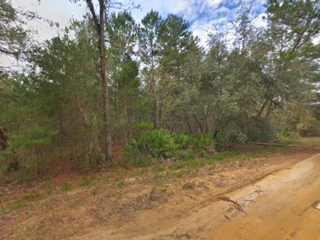 0.43 Acre Land for Sale for Homestead in Putnam County, FL
