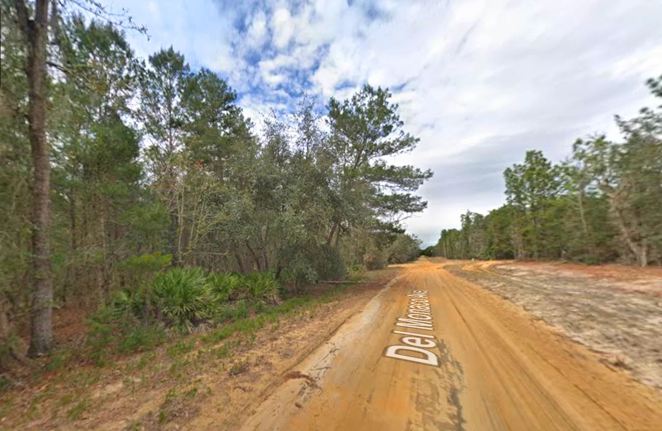 0.43 Acre Land for Sale for Homestead in Putnam County, FL