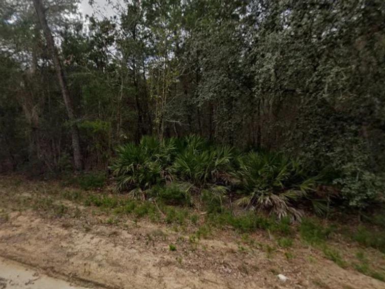 0.43 Acre Land for Sale for Homestead - Image 4