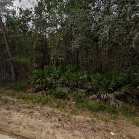 0.43 Acre Land for Sale for Homestead in Putnam County, FL