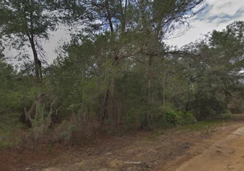 Decorative background for 0.43 Acre Land for Sale for Homestead image 6