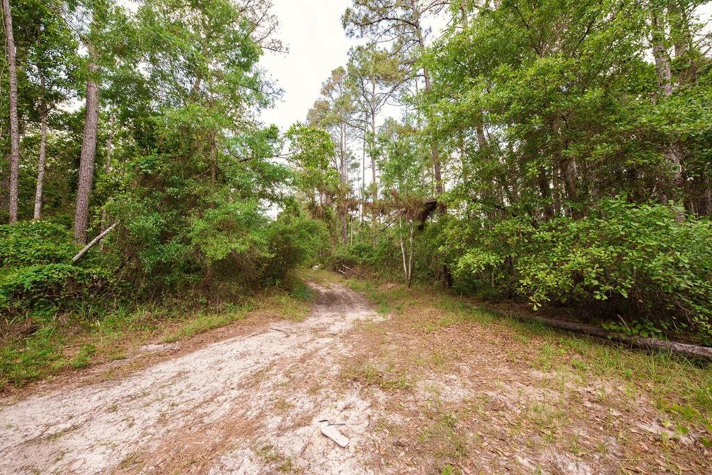 Buy .46 Acres w/o Breaking the Bank - Main image