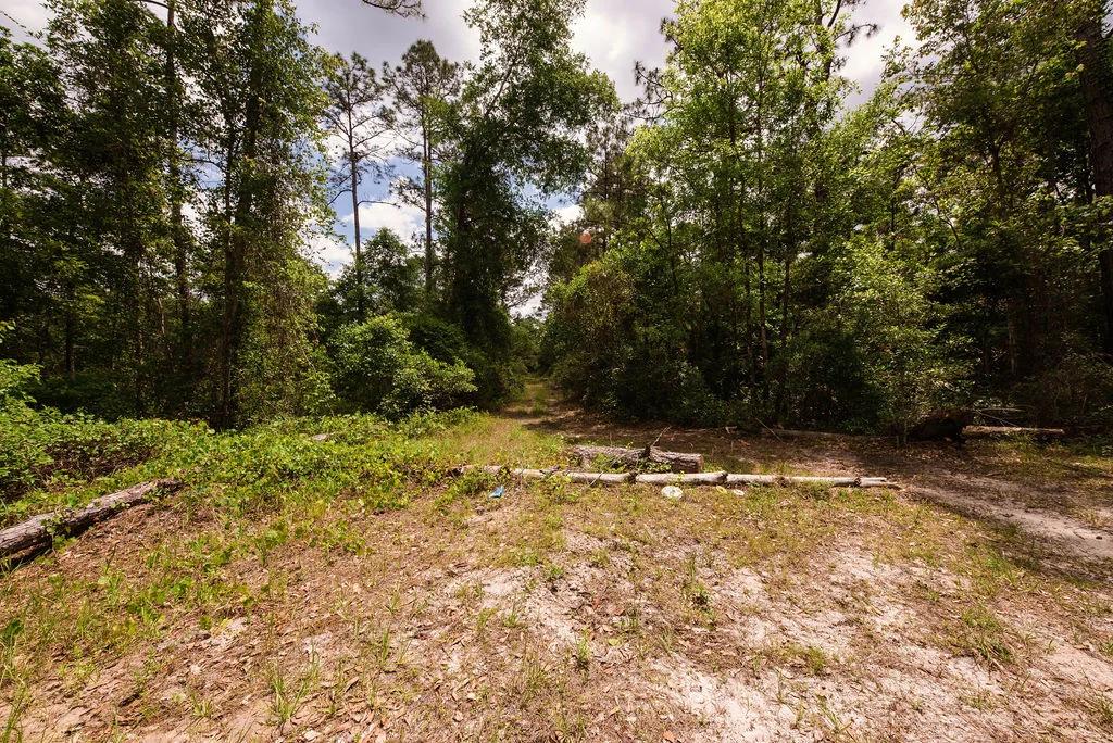 Decorative background for Buy .46 Acres w/o Breaking the Bank image 10