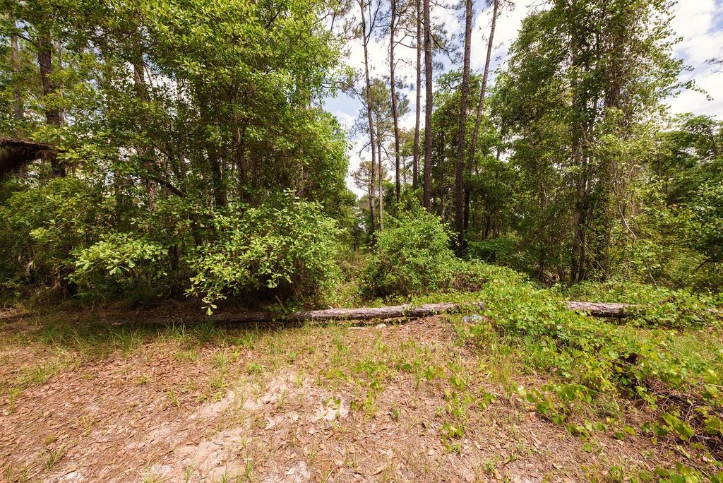 Buy .46 Acres w/o Breaking the Bank in Putnam County, FL