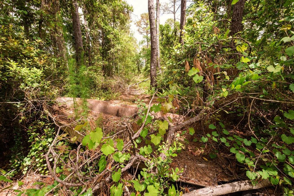 Buy .46 Acres w/o Breaking the Bank in Putnam County, FL