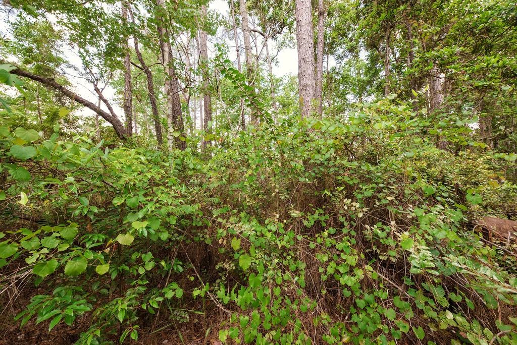 Buy .46 Acres w/o Breaking the Bank in Putnam County, FL