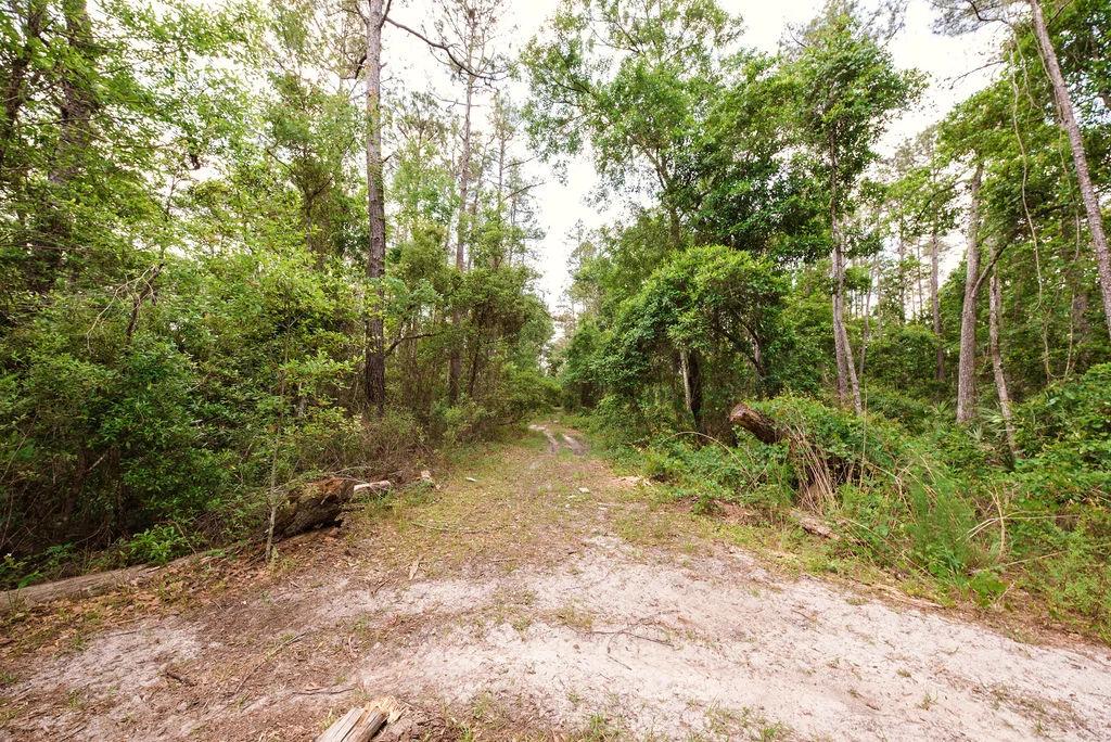 Decorative background for Buy .46 Acres w/o Breaking the Bank image 15