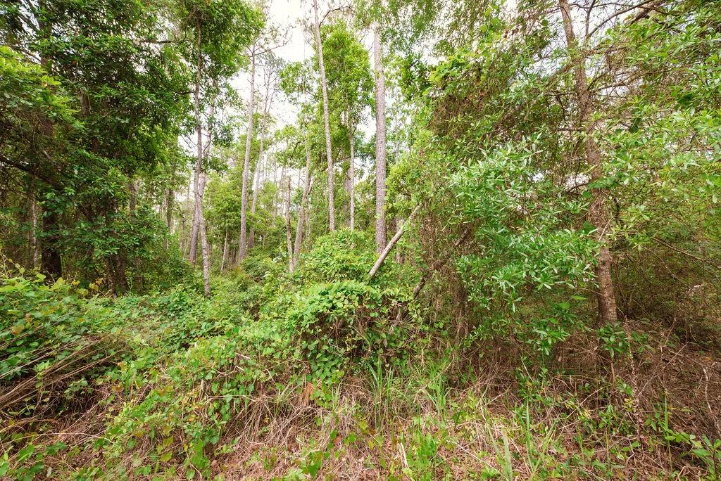 Buy .46 Acres w/o Breaking the Bank - Image 2