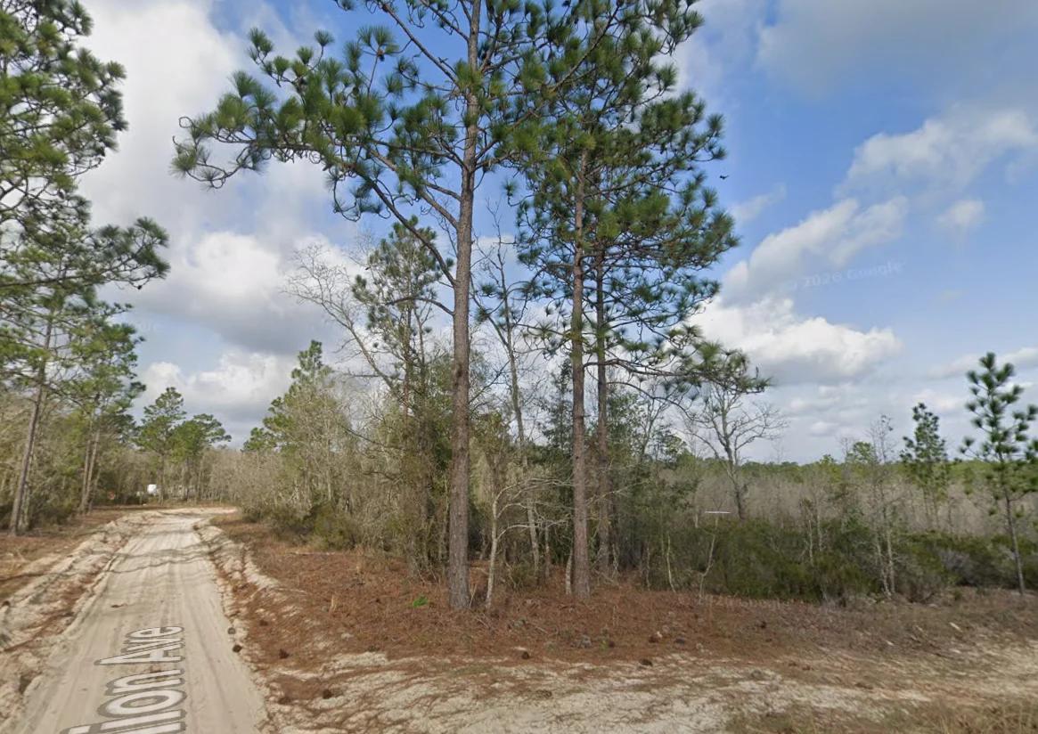 Decorative background for Lock in Your Florida Future $200! image 10