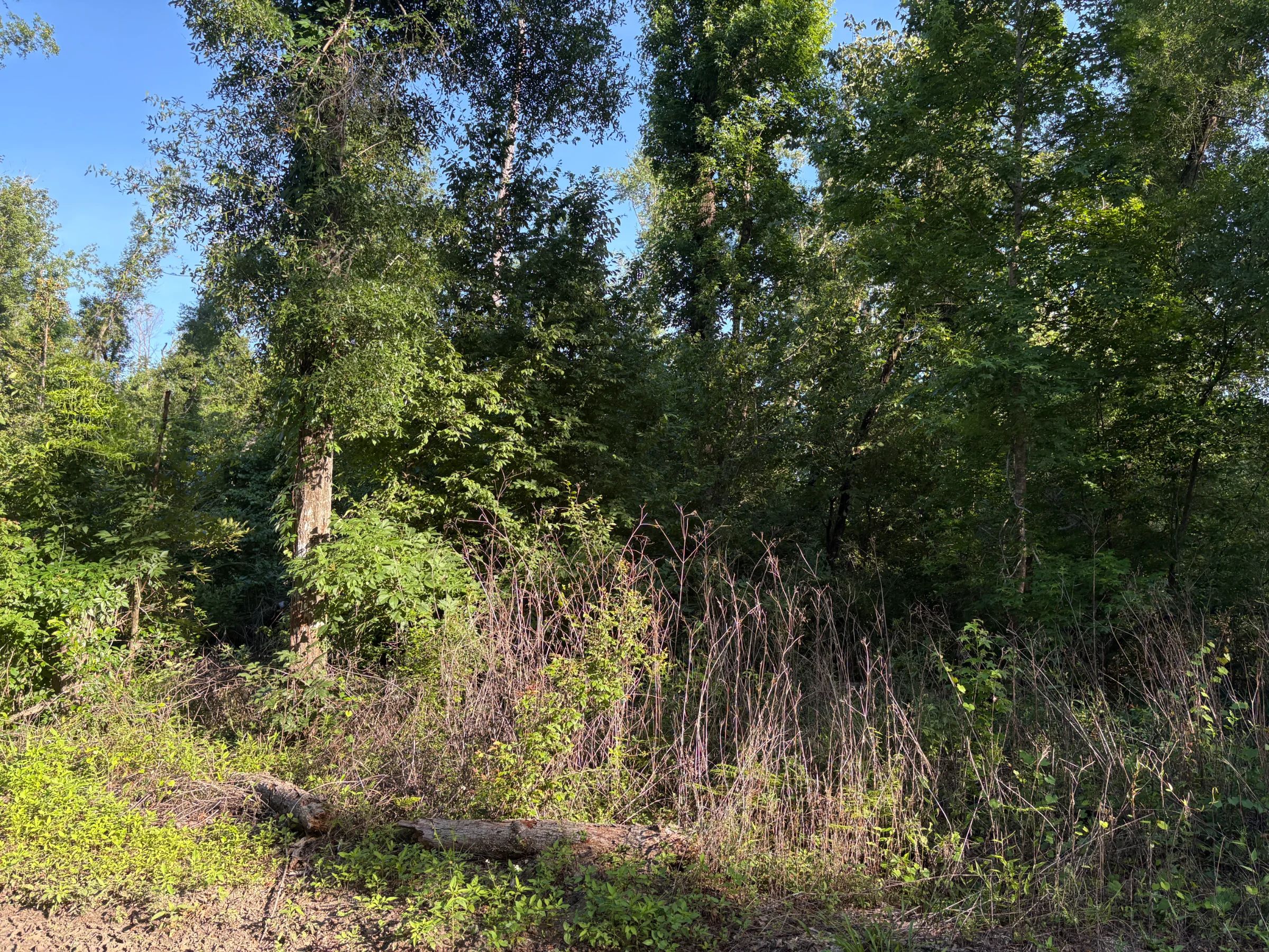 Your Family's Weekend Basecamp in North Florida in Suwannee County, FL