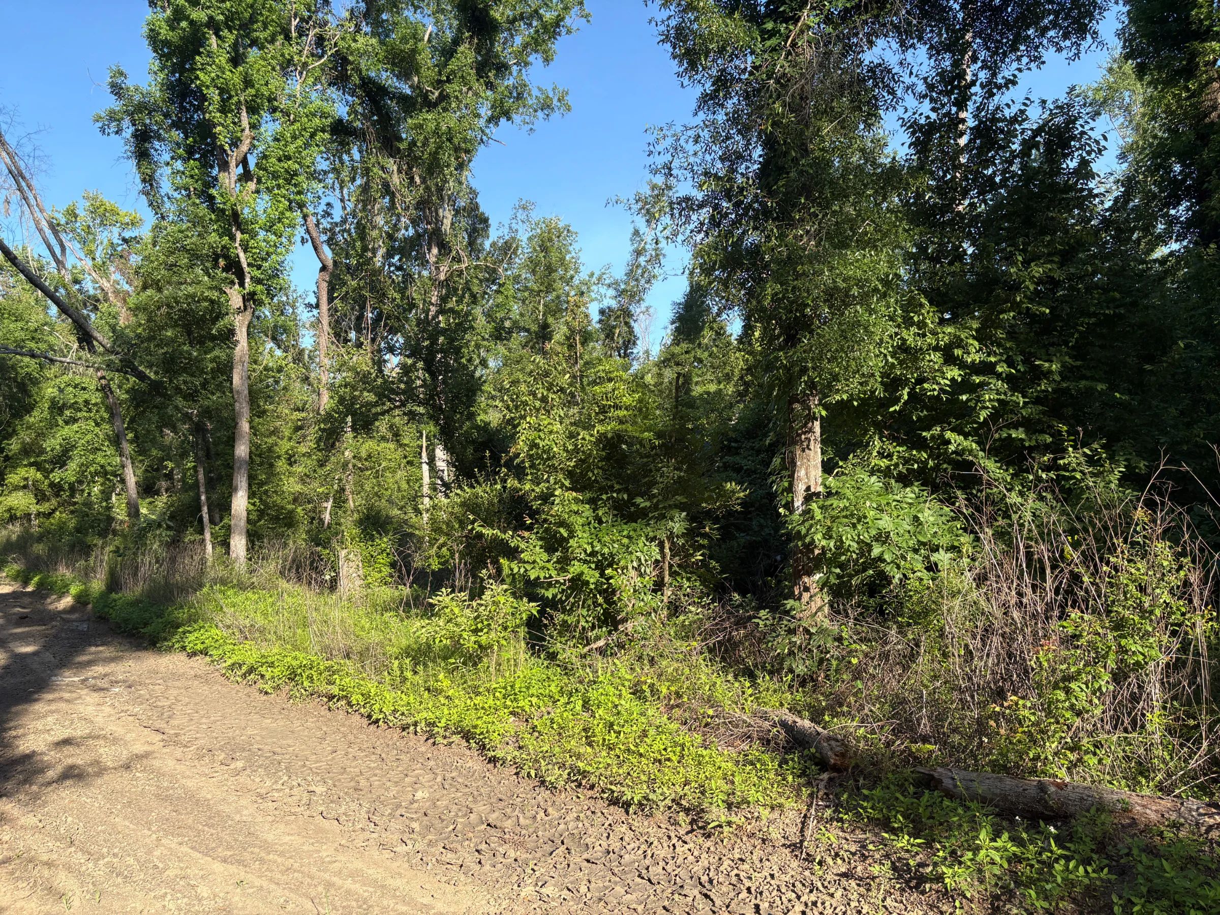 Your Family's Weekend Basecamp in North Florida in Suwannee County, FL