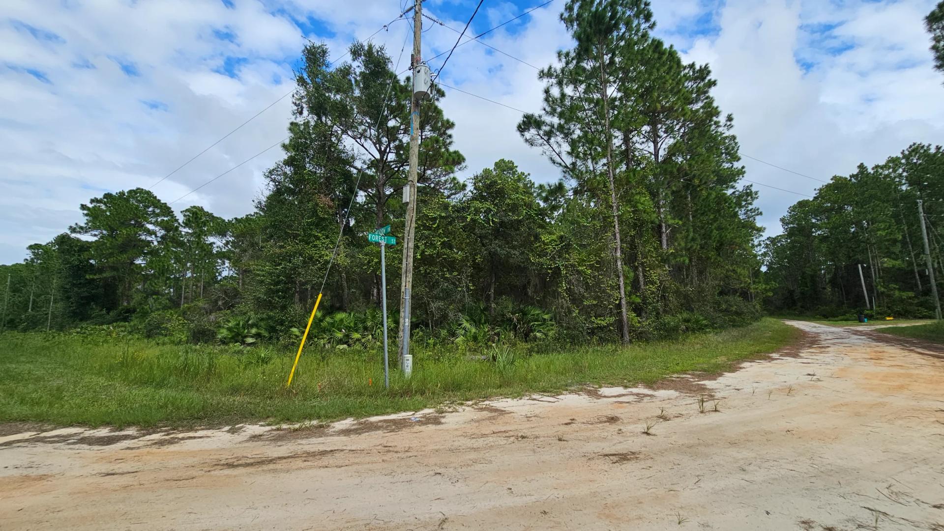 Decorative background for FL Land for Sale Near Lake George image 17